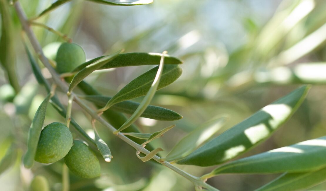 Più Cuore nelle mani