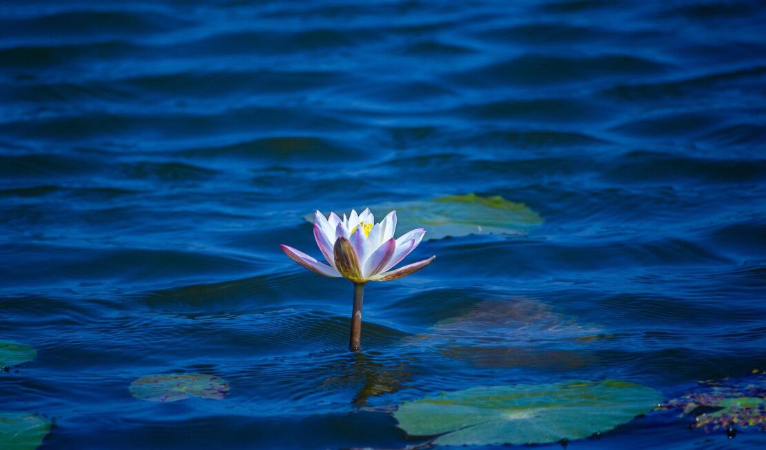 Più Cuore nelle mani